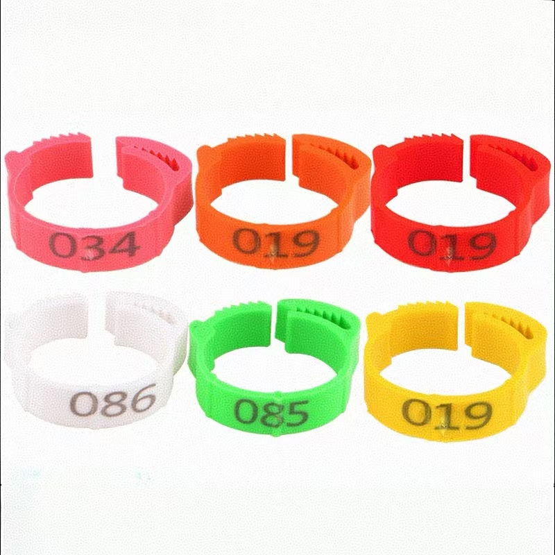 Baby Food Label - 100pcs Chicken Foot Ring Label Buckle