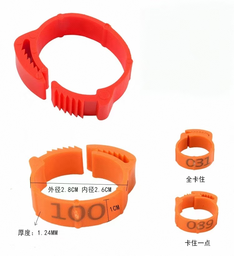 100pcs Chicken Foot Ring Label - đánh giá và giá Baby Food Label