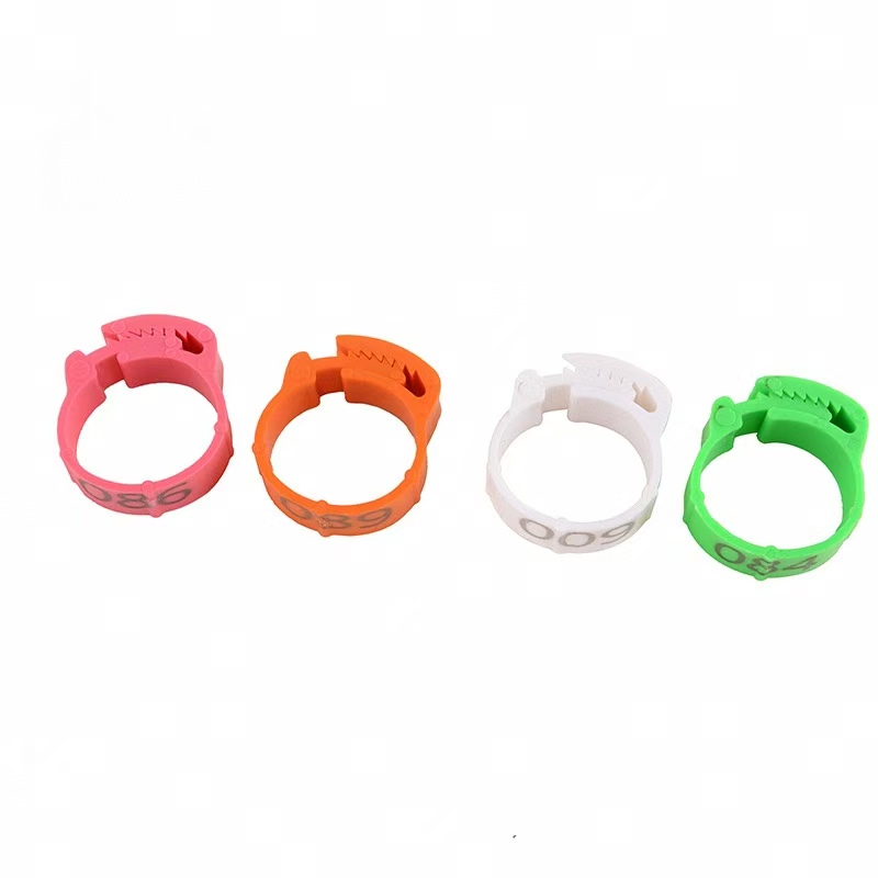 100pcs Chicken Foot Ring Label - đánh giá và giá Baby Food Label