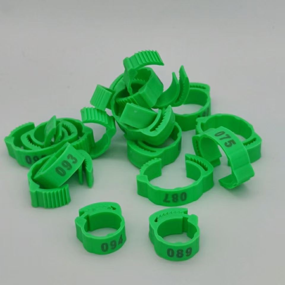 100pcs Chicken Foot Ring Label - đánh giá và giá Baby Food Label